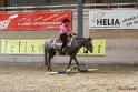 26-ApHC GT_125